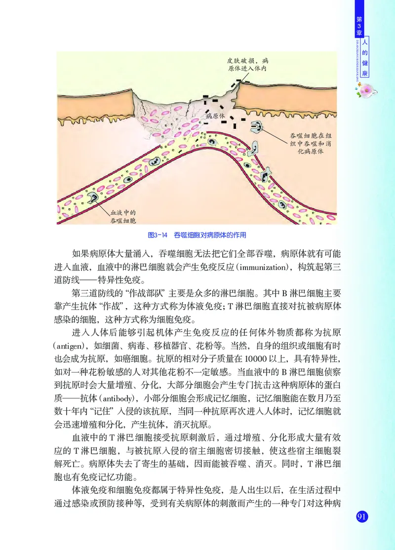 浙教版9年级科学下册高清教材_4-教培资料-26年最新资料-同步更新_初中高中教资_03科三专项（进去保存报考的学科即可）_02科三专项（笔记真题思维导图教学设计版本二）
