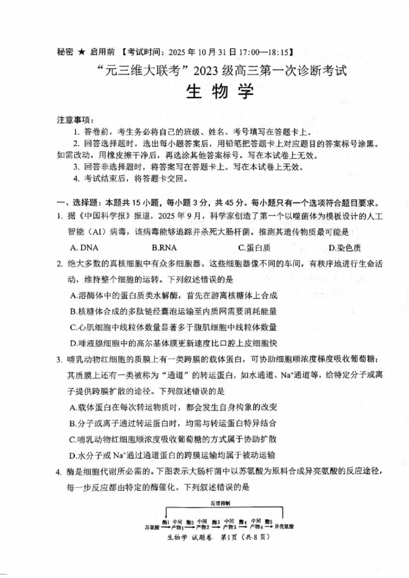 绵阳市高中2023级第一次诊断性考试生物（其他地区B卷）_251104四川省元三维大联考2023级高三第一次诊断考试（全科）_&ldquo;元三维大联考&rdquo;2023级高三第一次诊断考试生物
