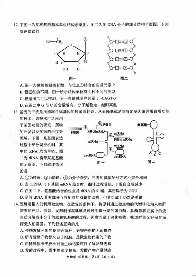 绵阳市高中2023级第一次诊断性考试生物（其他地区B卷）_251104四川省元三维大联考2023级高三第一次诊断考试（全科）_&ldquo;元三维大联考&rdquo;2023级高三第一次诊断考试生物