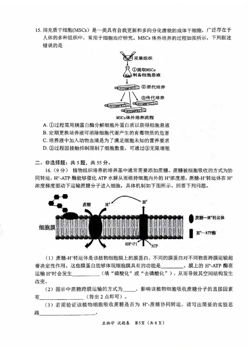 绵阳市高中2023级第一次诊断性考试生物（其他地区B卷）_251104四川省元三维大联考2023级高三第一次诊断考试（全科）_&ldquo;元三维大联考&rdquo;2023级高三第一次诊断考试生物