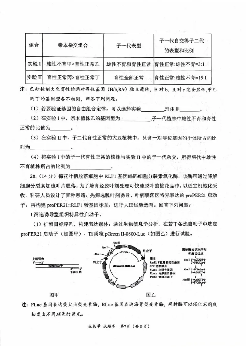 绵阳市高中2023级第一次诊断性考试生物（其他地区B卷）_251104四川省元三维大联考2023级高三第一次诊断考试（全科）_&ldquo;元三维大联考&rdquo;2023级高三第一次诊断考试生物