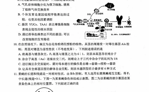 绵阳市高中2023级第一次诊断性考试生物（其他地区B卷）_251104四川省元三维大联考2023级高三第一次诊断考试（全科）_&ldquo;元三维大联考&rdquo;2023级高三第一次诊断考试生物