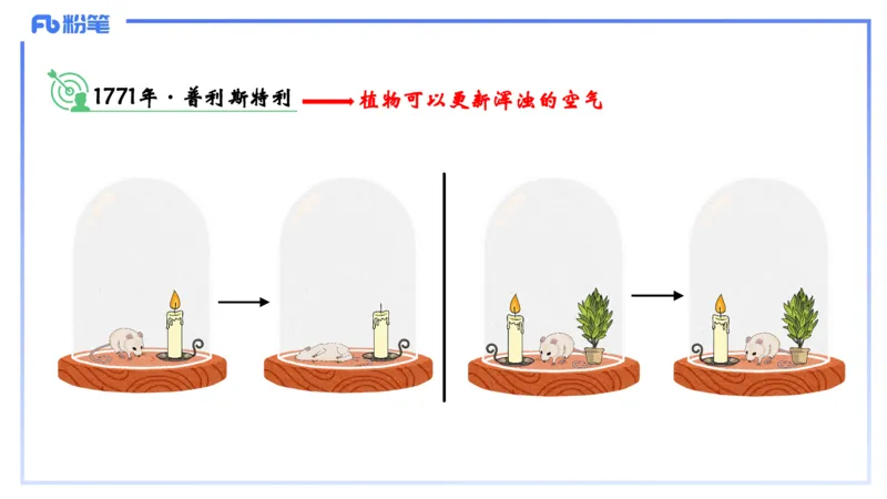 理论精讲06-细胞生物学3-拾光_4-教培资料-26年最新资料-同步更新_初中高中教资_03科三专项（进去保存报考的学科即可）_01科目三FB网课、三色速记手册、知识点导图等推荐_初中