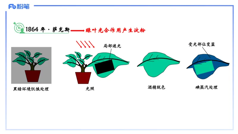理论精讲06-细胞生物学3-拾光_4-教培资料-26年最新资料-同步更新_初中高中教资_03科三专项（进去保存报考的学科即可）_01科目三FB网课、三色速记手册、知识点导图等推荐_初中