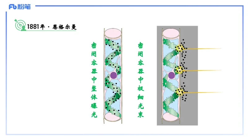理论精讲06-细胞生物学3-拾光_4-教培资料-26年最新资料-同步更新_初中高中教资_03科三专项（进去保存报考的学科即可）_01科目三FB网课、三色速记手册、知识点导图等推荐_初中