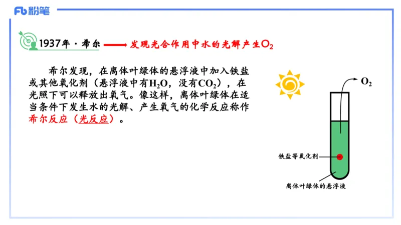 理论精讲06-细胞生物学3-拾光_4-教培资料-26年最新资料-同步更新_初中高中教资_03科三专项（进去保存报考的学科即可）_01科目三FB网课、三色速记手册、知识点导图等推荐_初中