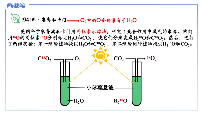 理论精讲06-细胞生物学3-拾光_4-教培资料-26年最新资料-同步更新_初中高中教资_03科三专项（进去保存报考的学科即可）_01科目三FB网课、三色速记手册、知识点导图等推荐_初中