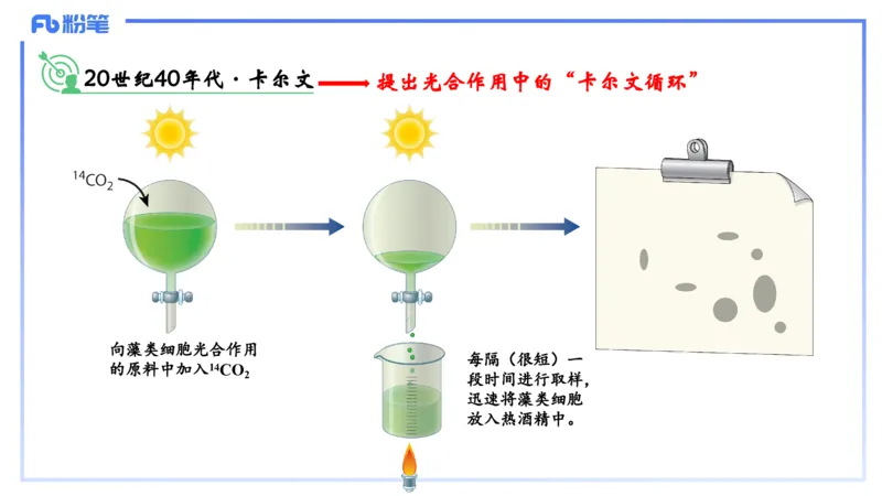理论精讲06-细胞生物学3-拾光_4-教培资料-26年最新资料-同步更新_初中高中教资_03科三专项（进去保存报考的学科即可）_01科目三FB网课、三色速记手册、知识点导图等推荐_初中