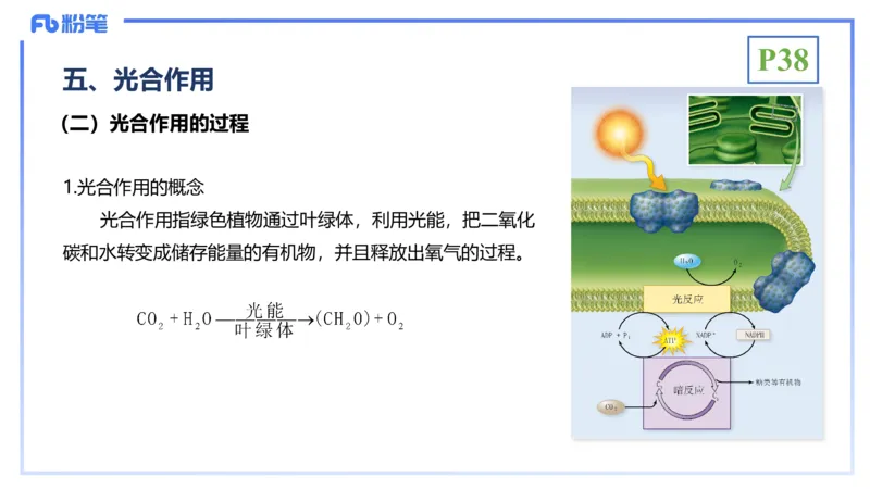 理论精讲06-细胞生物学3-拾光_4-教培资料-26年最新资料-同步更新_初中高中教资_03科三专项（进去保存报考的学科即可）_01科目三FB网课、三色速记手册、知识点导图等推荐_初中