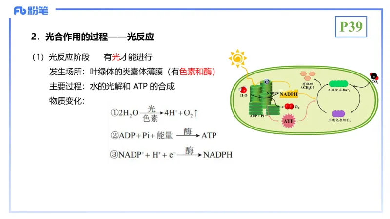 理论精讲06-细胞生物学3-拾光_4-教培资料-26年最新资料-同步更新_初中高中教资_03科三专项（进去保存报考的学科即可）_01科目三FB网课、三色速记手册、知识点导图等推荐_初中