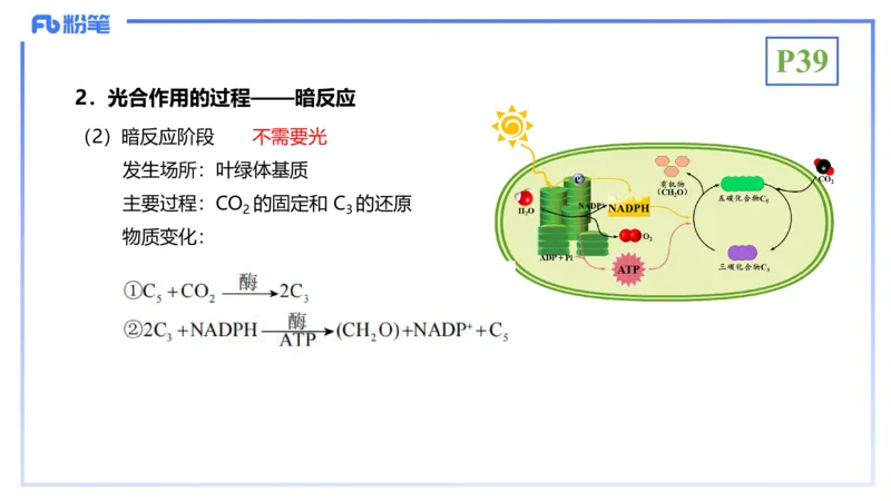 理论精讲06-细胞生物学3-拾光_4-教培资料-26年最新资料-同步更新_初中高中教资_03科三专项（进去保存报考的学科即可）_01科目三FB网课、三色速记手册、知识点导图等推荐_初中