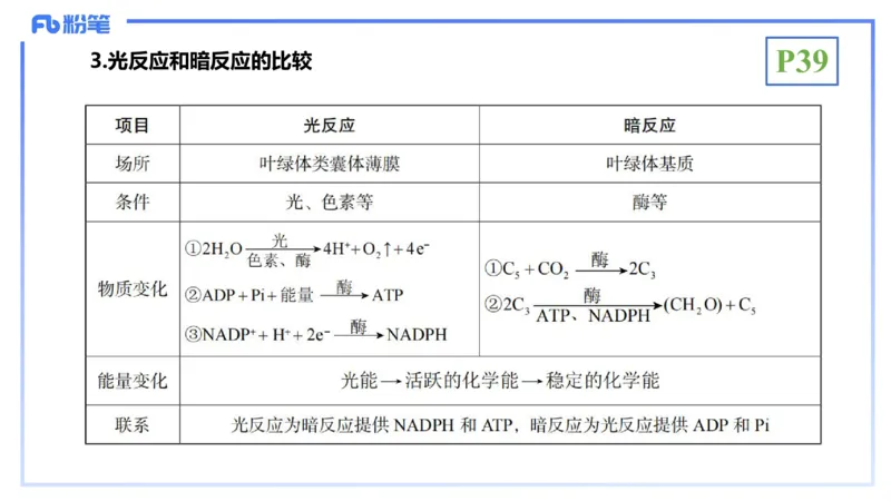 理论精讲06-细胞生物学3-拾光_4-教培资料-26年最新资料-同步更新_初中高中教资_03科三专项（进去保存报考的学科即可）_01科目三FB网课、三色速记手册、知识点导图等推荐_初中