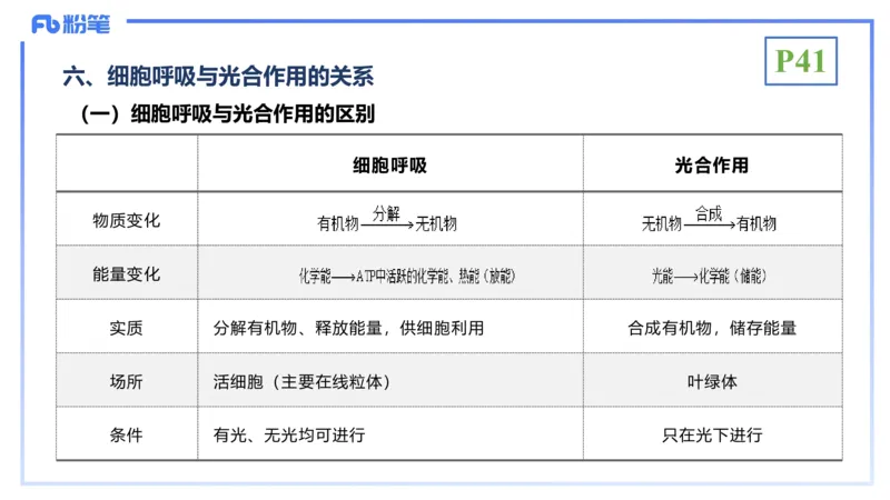 理论精讲06-细胞生物学3-拾光_4-教培资料-26年最新资料-同步更新_初中高中教资_03科三专项（进去保存报考的学科即可）_01科目三FB网课、三色速记手册、知识点导图等推荐_初中