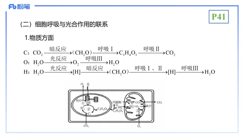 理论精讲06-细胞生物学3-拾光_4-教培资料-26年最新资料-同步更新_初中高中教资_03科三专项（进去保存报考的学科即可）_01科目三FB网课、三色速记手册、知识点导图等推荐_初中