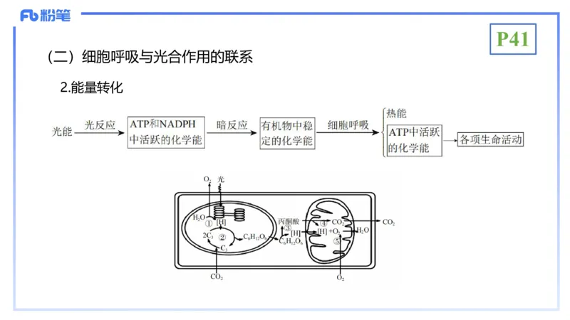 理论精讲06-细胞生物学3-拾光_4-教培资料-26年最新资料-同步更新_初中高中教资_03科三专项（进去保存报考的学科即可）_01科目三FB网课、三色速记手册、知识点导图等推荐_初中