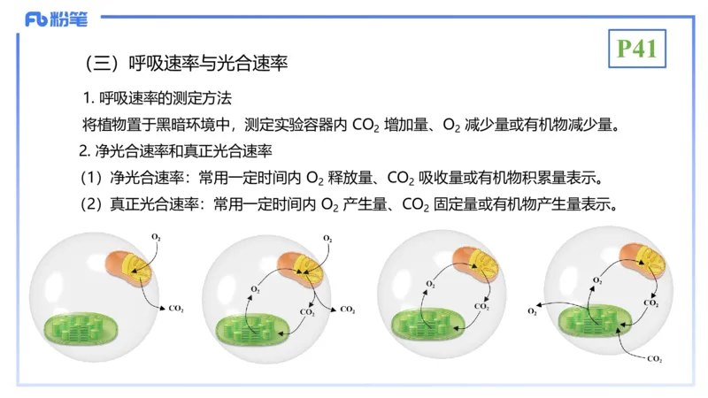 理论精讲06-细胞生物学3-拾光_4-教培资料-26年最新资料-同步更新_初中高中教资_03科三专项（进去保存报考的学科即可）_01科目三FB网课、三色速记手册、知识点导图等推荐_初中