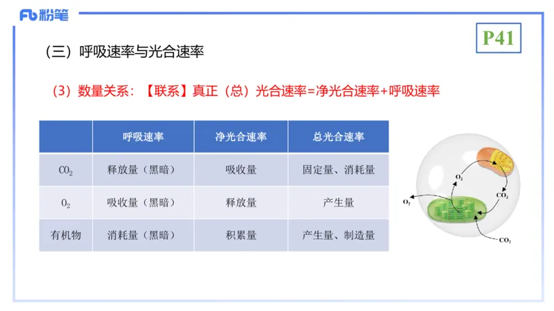 理论精讲06-细胞生物学3-拾光_4-教培资料-26年最新资料-同步更新_初中高中教资_03科三专项（进去保存报考的学科即可）_01科目三FB网课、三色速记手册、知识点导图等推荐_初中
