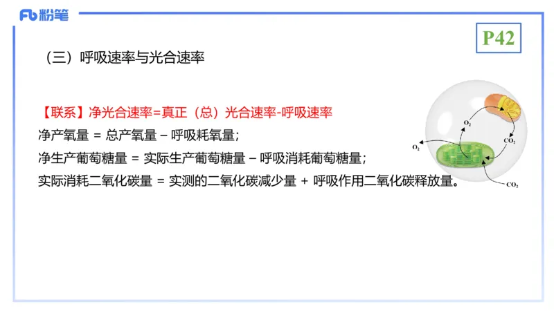 理论精讲06-细胞生物学3-拾光_4-教培资料-26年最新资料-同步更新_初中高中教资_03科三专项（进去保存报考的学科即可）_01科目三FB网课、三色速记手册、知识点导图等推荐_初中