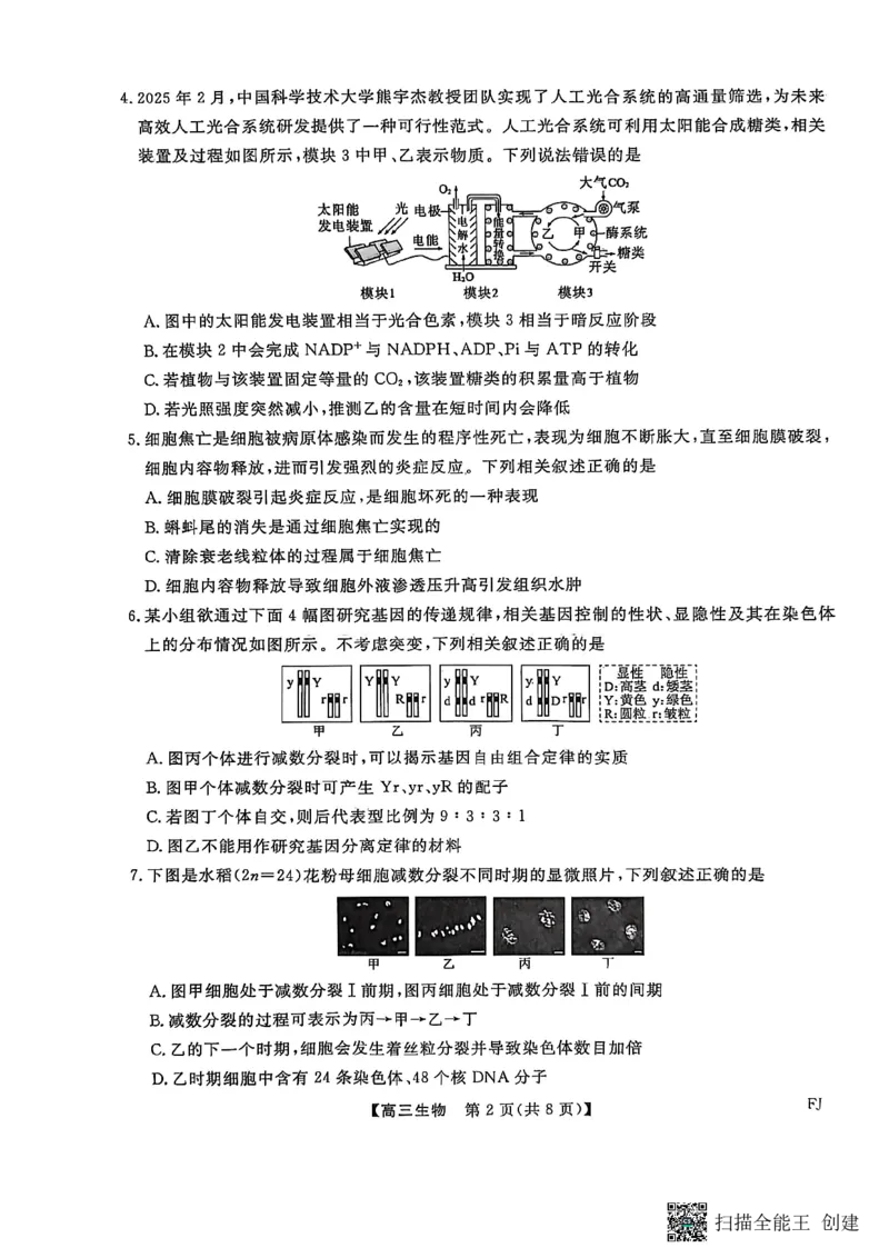 生物试卷福建高三2025-2026学年百校11月联考_251115福建省百校联考高三2025-2026学年11月联考（全科）