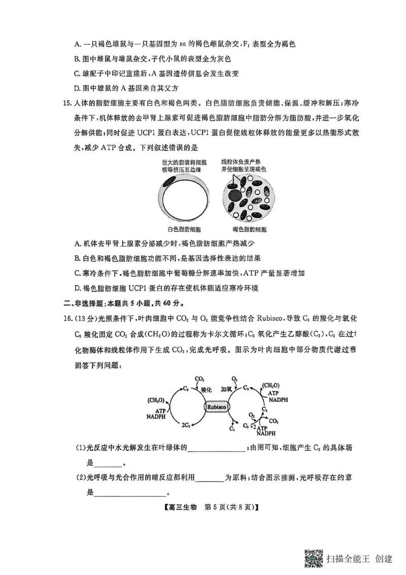 生物试卷福建高三2025-2026学年百校11月联考_251115福建省百校联考高三2025-2026学年11月联考（全科）