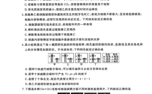生物试卷福建高三2025-2026学年百校11月联考_251115福建省百校联考高三2025-2026学年11月联考（全科）