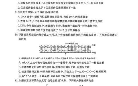生物试卷福建高三2025-2026学年百校11月联考_251115福建省百校联考高三2025-2026学年11月联考（全科）