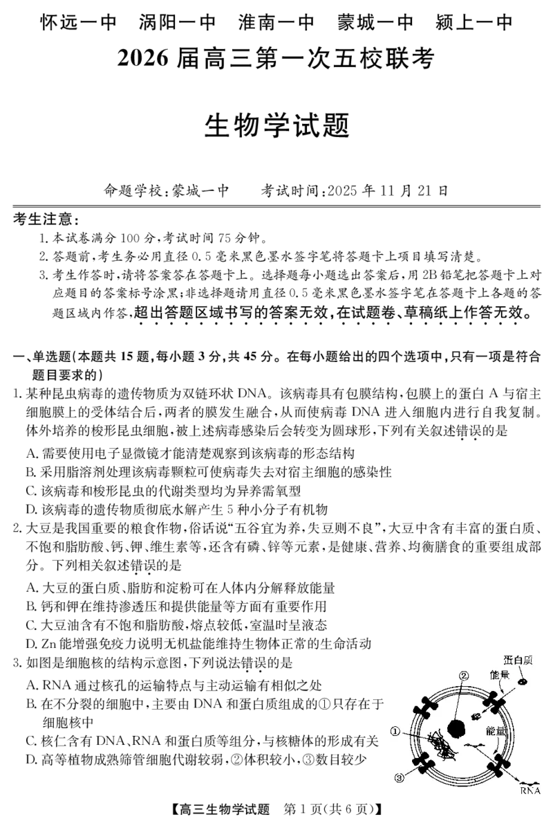 25年11月五校联盟-生物_251122安徽省五校联盟2026届高三年级11月第一次五校联考（全科）