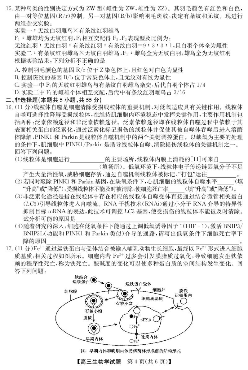 25年11月五校联盟-生物_251122安徽省五校联盟2026届高三年级11月第一次五校联考（全科）
