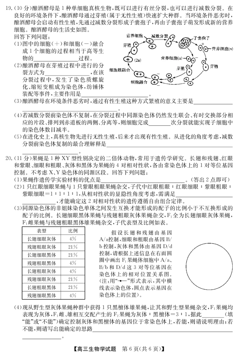 25年11月五校联盟-生物_251122安徽省五校联盟2026届高三年级11月第一次五校联考（全科）