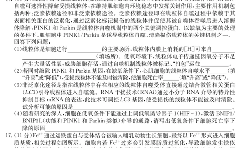 25年11月五校联盟-生物_251122安徽省五校联盟2026届高三年级11月第一次五校联考（全科）