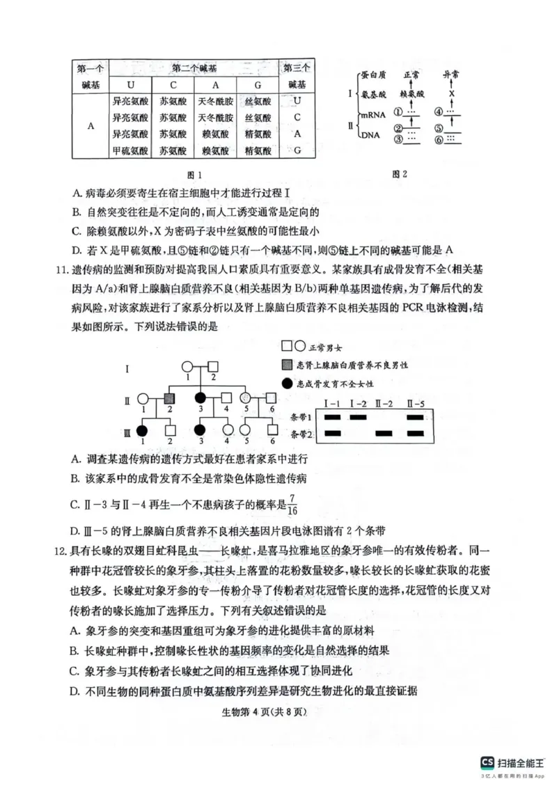 四川省2025一2026学年高三一轮复习阶段性测评生物_2025年12月_251208天府名校大联考&middot;四川省2025一2026学年高三一轮复习阶段性测评（全科）