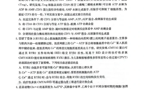 四川省2025一2026学年高三一轮复习阶段性测评生物_2025年12月_251208天府名校大联考&middot;四川省2025一2026学年高三一轮复习阶段性测评（全科）