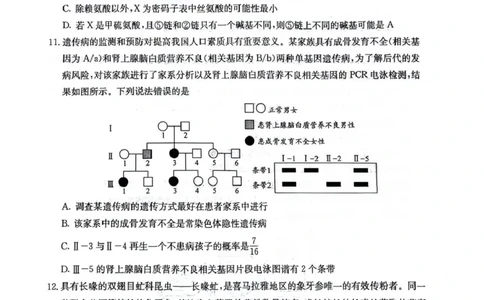 四川省2025一2026学年高三一轮复习阶段性测评生物_2025年12月_251208天府名校大联考&middot;四川省2025一2026学年高三一轮复习阶段性测评（全科）