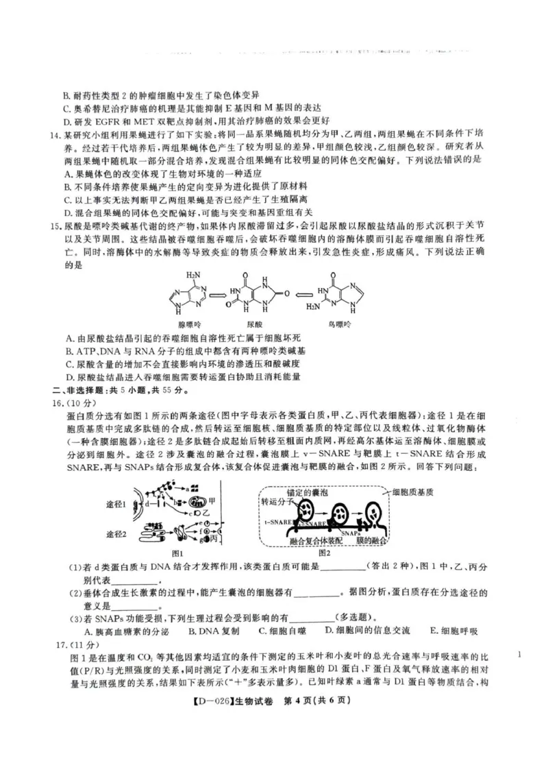 &ldquo;皖江名校联盟&rdquo;2025-2026学年高三质量检测生物_2025年12月_251220安徽省&ldquo;皖江名校联盟&rdquo;2025-2026学年高三质量检测（全科）
