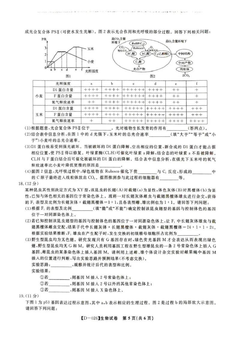 &ldquo;皖江名校联盟&rdquo;2025-2026学年高三质量检测生物_2025年12月_251220安徽省&ldquo;皖江名校联盟&rdquo;2025-2026学年高三质量检测（全科）