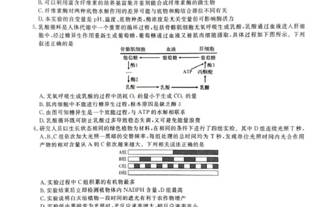 &ldquo;皖江名校联盟&rdquo;2025-2026学年高三质量检测生物_2025年12月_251220安徽省&ldquo;皖江名校联盟&rdquo;2025-2026学年高三质量检测（全科）