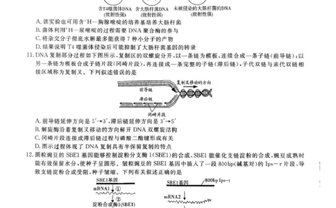&ldquo;皖江名校联盟&rdquo;2025-2026学年高三质量检测生物_2025年12月_251220安徽省&ldquo;皖江名校联盟&rdquo;2025-2026学年高三质量检测（全科）