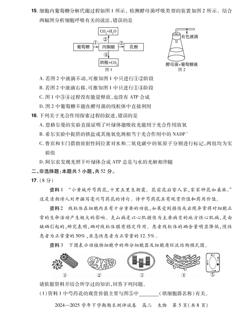河南省郑州市中牟县部分学校2024-2025学年高二下学期6月期末生物试题_2025年6月_250623河南省2024-2025年6月高二期末测评（全科）_河南省2024-2025学年高二下学期期末测评生物试题