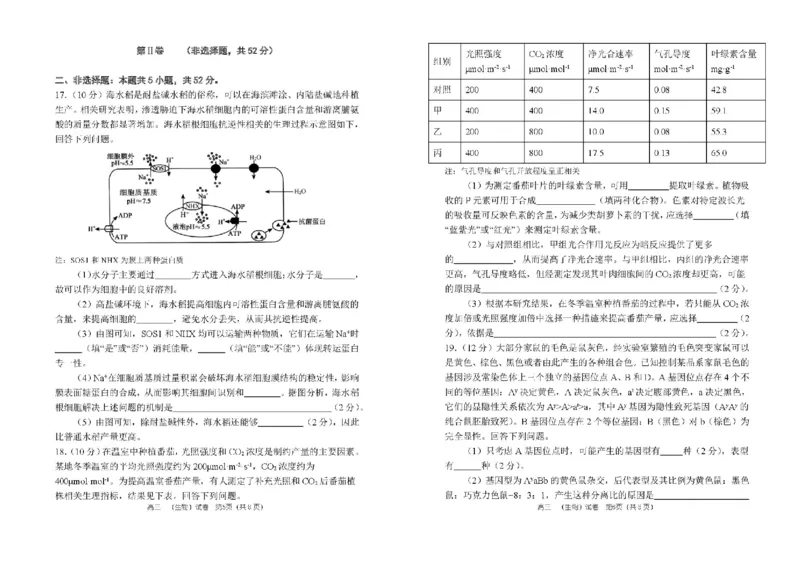 河南省郑州市第一中学2025-2026学年高三上学期期中生物试卷（含答案）_251117河南省郑州市第一中学2025-2026学年高三上学期期中