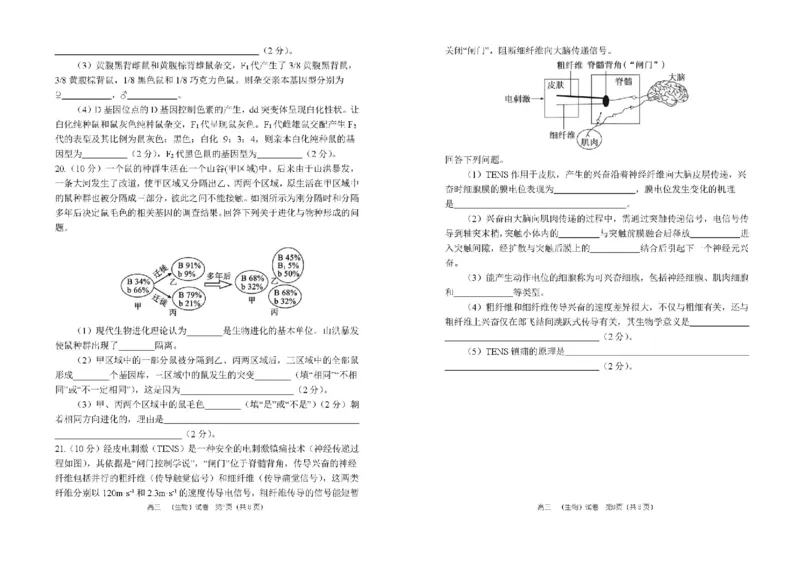 河南省郑州市第一中学2025-2026学年高三上学期期中生物试卷（含答案）_251117河南省郑州市第一中学2025-2026学年高三上学期期中