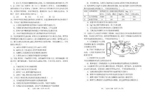 河南省郑州市第一中学2025-2026学年高三上学期期中生物试卷（含答案）_251117河南省郑州市第一中学2025-2026学年高三上学期期中