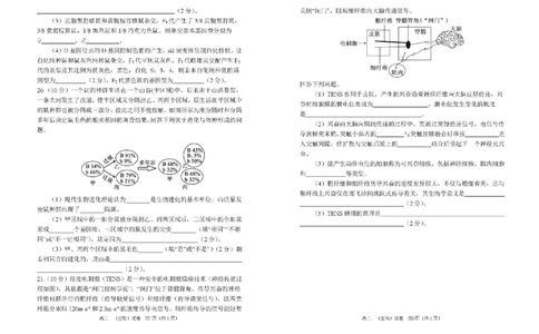 河南省郑州市第一中学2025-2026学年高三上学期期中生物试卷（含答案）_251117河南省郑州市第一中学2025-2026学年高三上学期期中