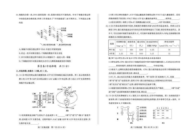 生物试卷-山东省德州市（优高联考）2026届高三年级期中上学期教学质量检测考试(11.12-11.14)_251115山东省德州市（优高联考）2026届高三年级期中上学期教学质量检测考试（全科）