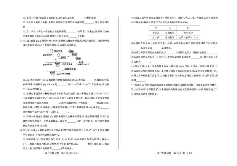 生物试卷-山东省德州市（优高联考）2026届高三年级期中上学期教学质量检测考试(11.12-11.14)_251115山东省德州市（优高联考）2026届高三年级期中上学期教学质量检测考试（全科）