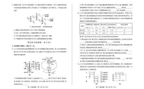 生物试卷-山东省德州市（优高联考）2026届高三年级期中上学期教学质量检测考试(11.12-11.14)_251115山东省德州市（优高联考）2026届高三年级期中上学期教学质量检测考试（全科）