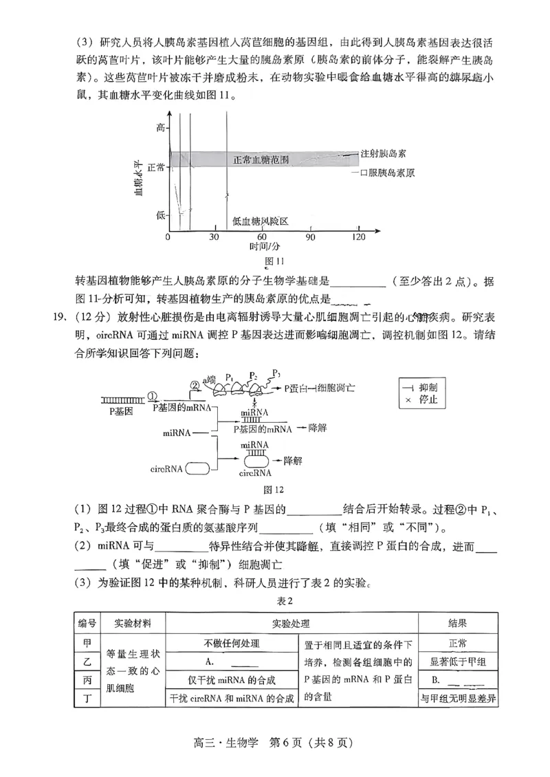 肇庆高三一模&middot;生物试卷_251107广东省肇庆市2026届高三上学期第一次模拟考试（全科）_广东省肇庆市2026届高三上学期第一次模拟考试生物含答案