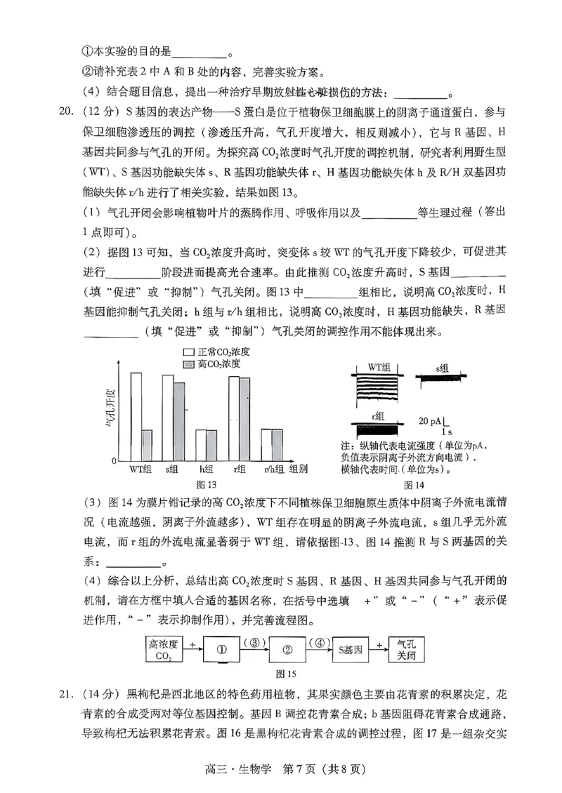 肇庆高三一模&middot;生物试卷_251107广东省肇庆市2026届高三上学期第一次模拟考试（全科）_广东省肇庆市2026届高三上学期第一次模拟考试生物含答案