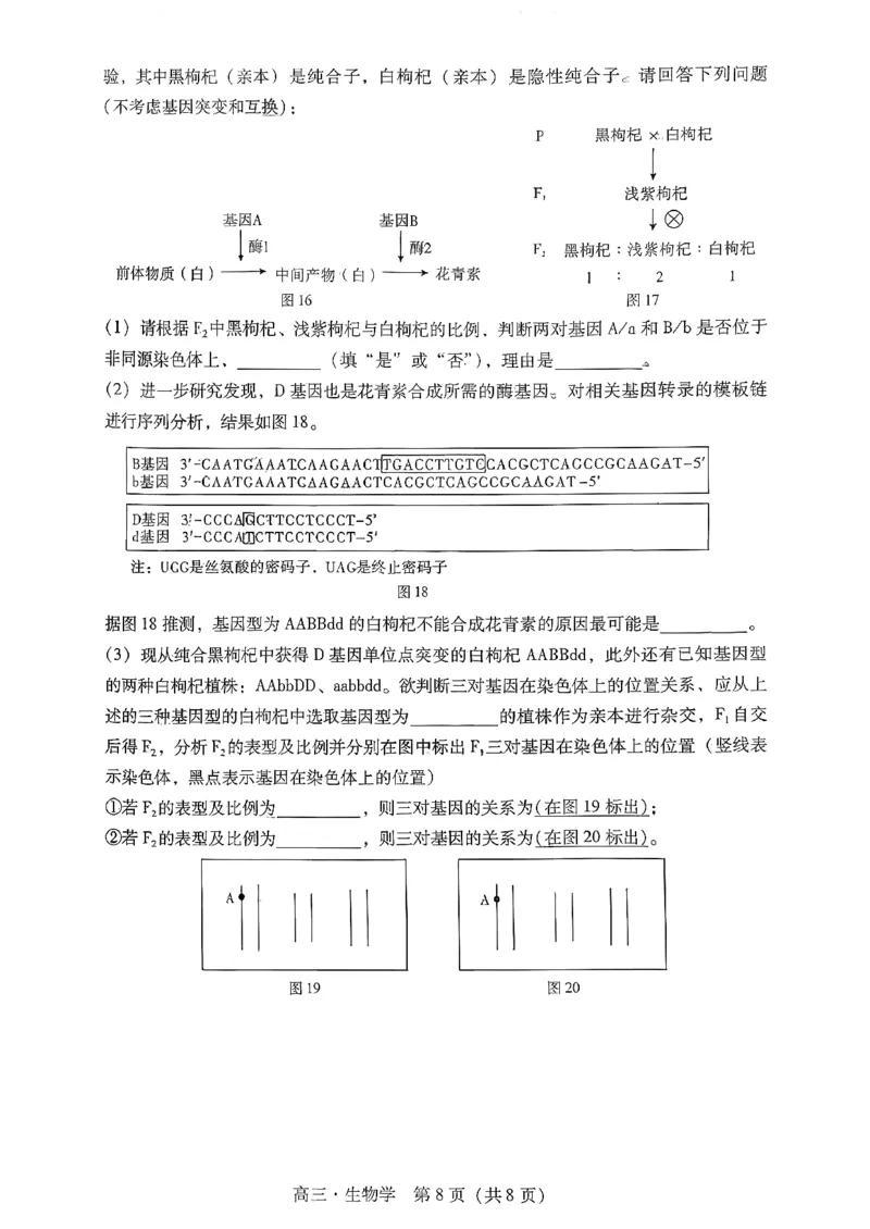 肇庆高三一模&middot;生物试卷_251107广东省肇庆市2026届高三上学期第一次模拟考试（全科）_广东省肇庆市2026届高三上学期第一次模拟考试生物含答案