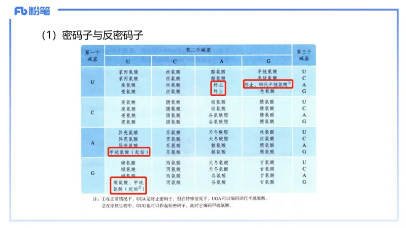 理论精讲03-分子生物学3-拾光_4-教培资料-26年最新资料-同步更新_初中高中教资_03科三专项（进去保存报考的学科即可）_01科目三FB网课、三色速记手册、知识点导图等推荐_初中