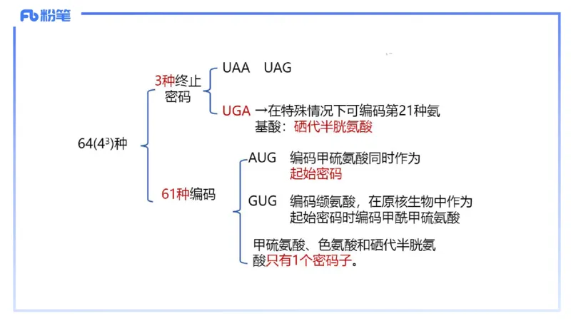 理论精讲03-分子生物学3-拾光_4-教培资料-26年最新资料-同步更新_初中高中教资_03科三专项（进去保存报考的学科即可）_01科目三FB网课、三色速记手册、知识点导图等推荐_初中